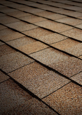 Foster Roofing & Construction Images